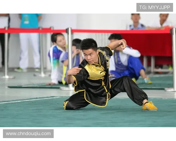 斗球体育官网赛事报名流程与参赛条件，快速了解如何参与精彩比赛